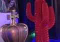 KTV招聘佳丽文案（魅力招募：KTV寻找闪耀之星）